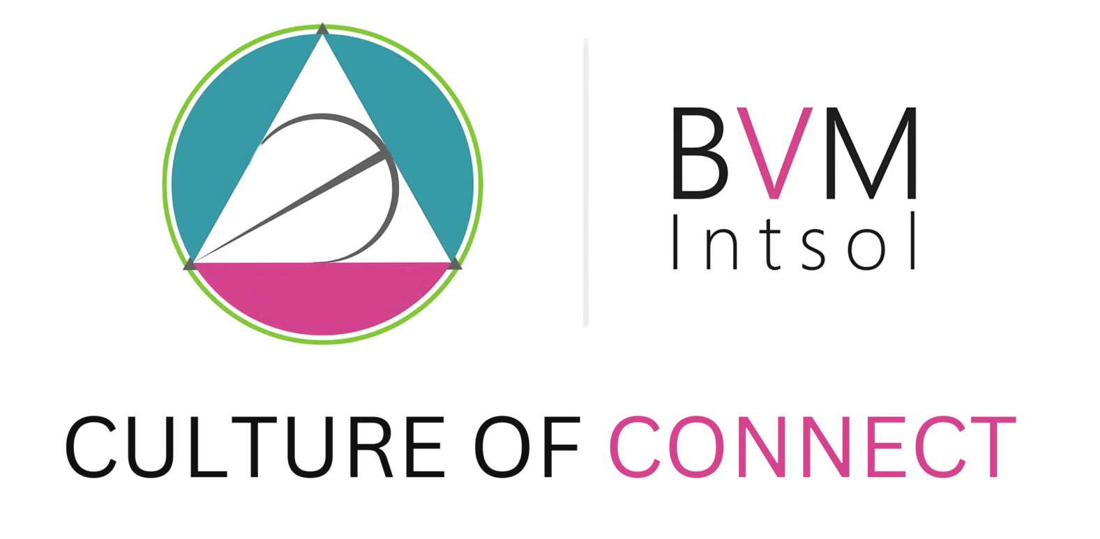 cropped-BVM-LOGO-2-scaled-1